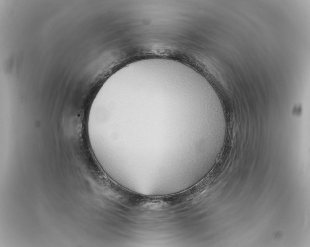 X0000093130595200710241324