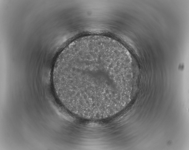 X0000093130596200710241324