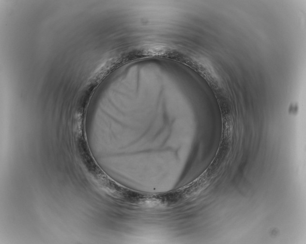 X0000093130598200710241324