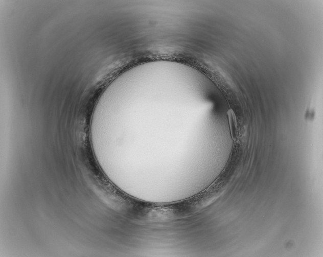 X0000093130599200710241324