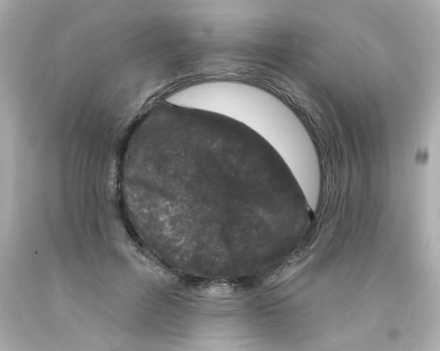 X0000093130600200710241324