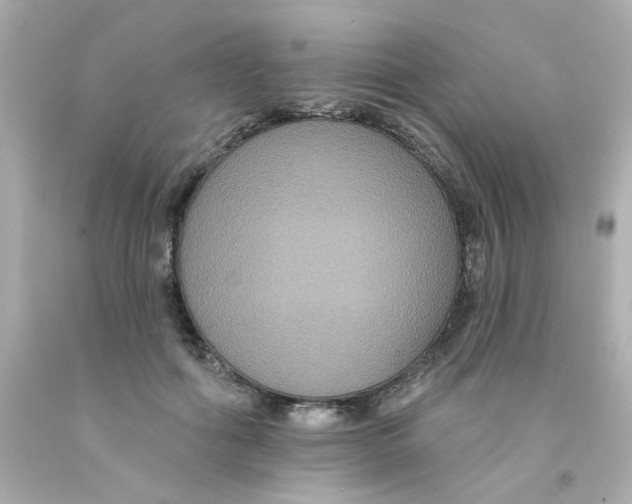 X0000093130602200710241324