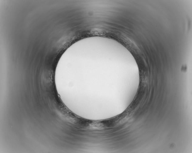 X0000093130603200710241324