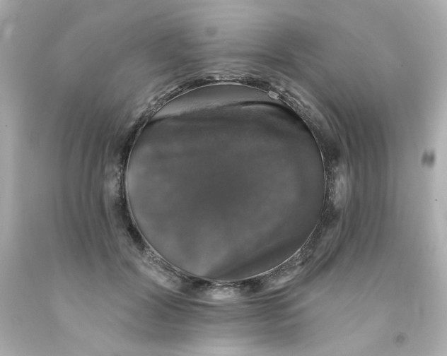X0000093130604200710241324
