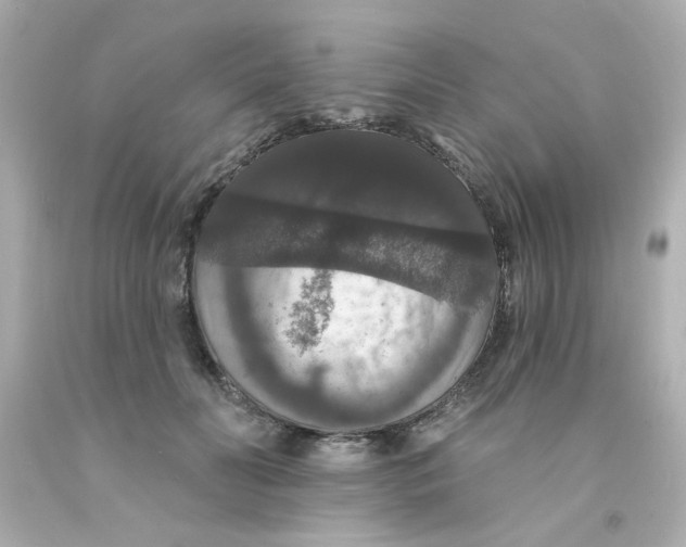 X0000093130606200710241324