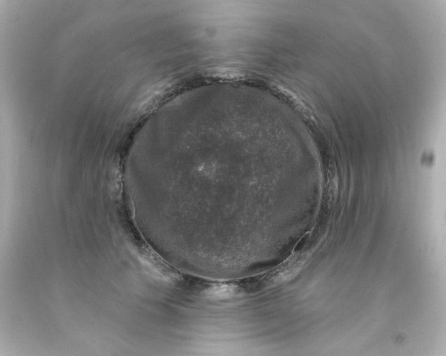 X0000093130609200710241324