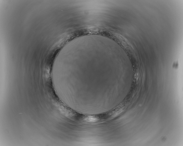 X0000093130610200710241324