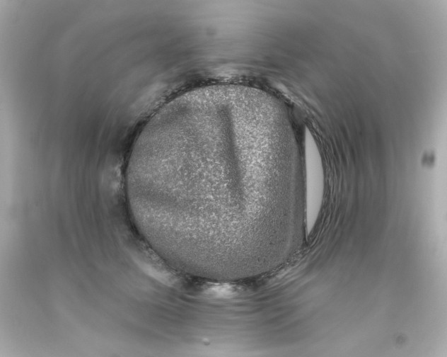 X0000093130611200710241324