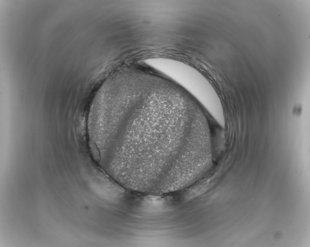 X0000093130613200710241324