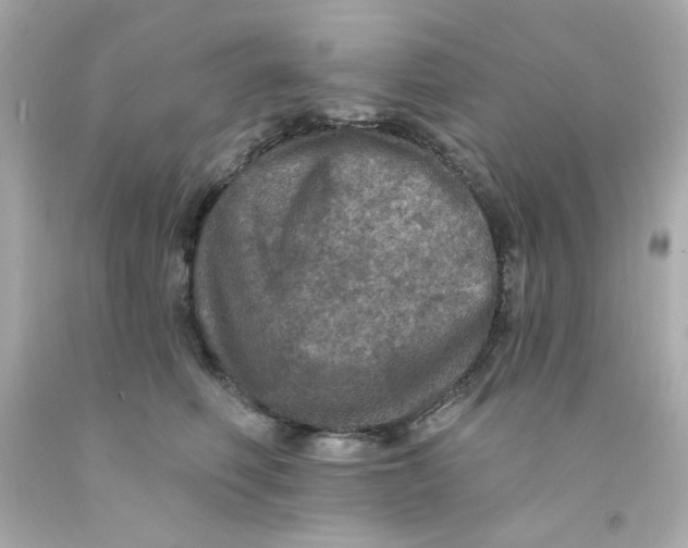 X0000093130614200710241324