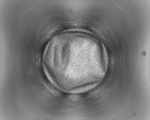 X0000093130615200710241324