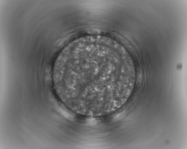 X0000093130616200710241324