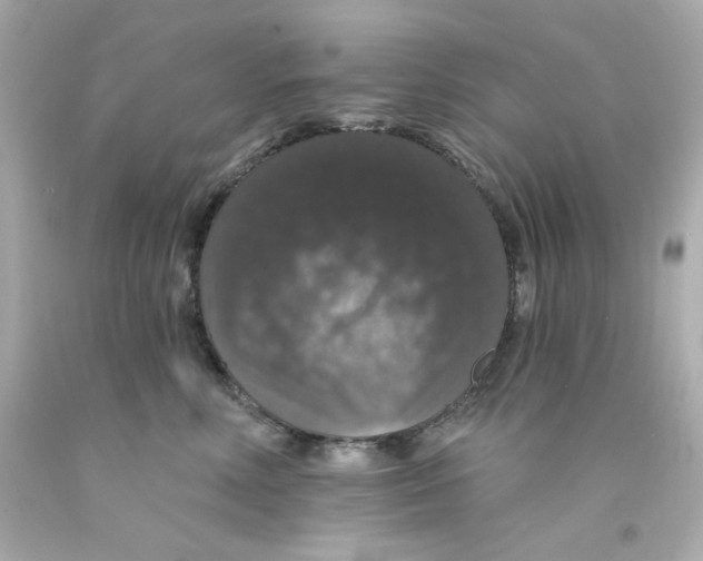 X0000093130618200710241324