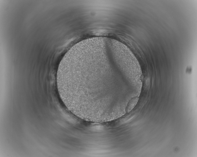 X0000093130620200710241324