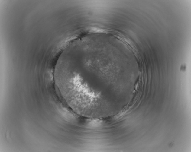 X0000093130621200710241324
