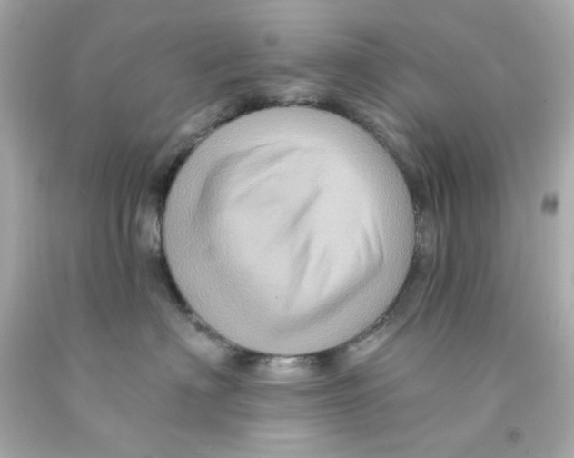 X0000093130622200710241324