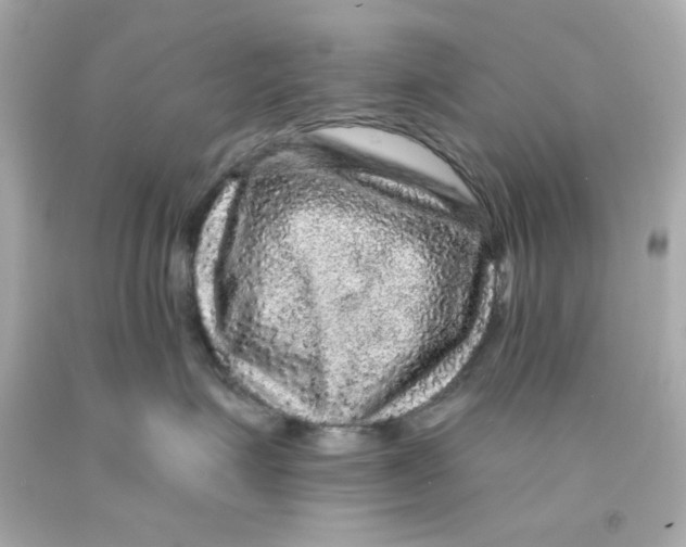 X0000093130623200710241324
