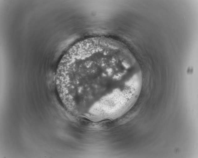 X0000093130624200710241324