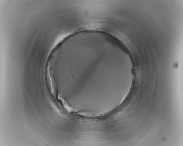 X0000093130626200710241323
