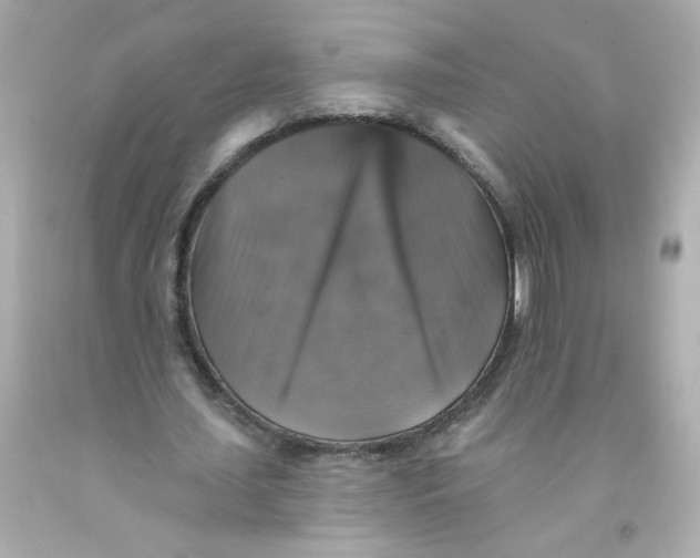 X0000093130627200710241323
