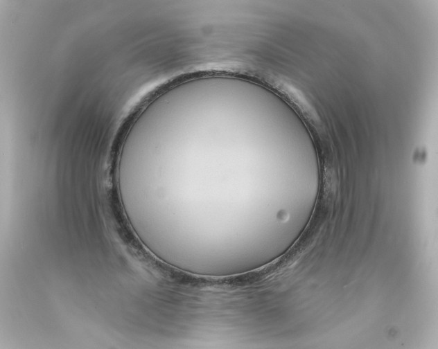 X0000093130628200710241323