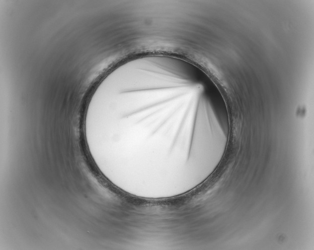 X0000093130629200710241323