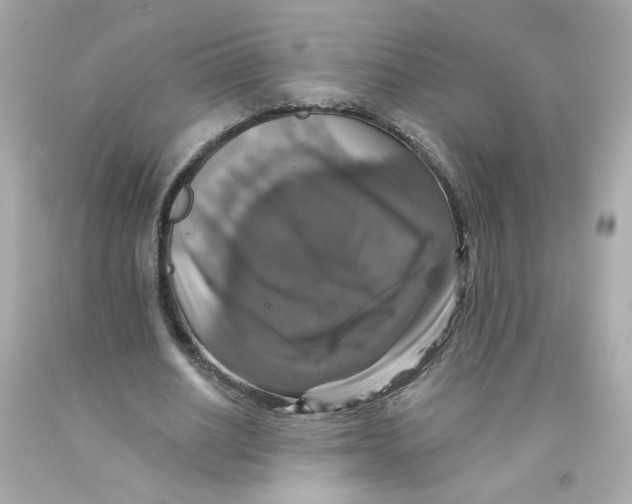 X0000093130630200710241323
