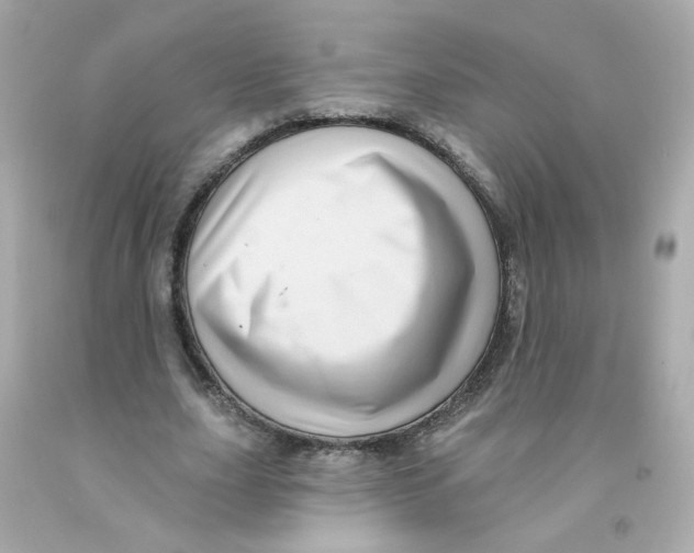 X0000093130631200710241323