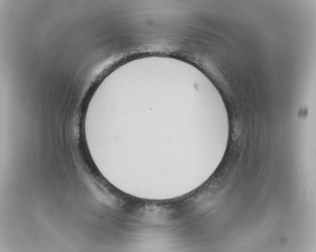 X0000093130632200710241323
