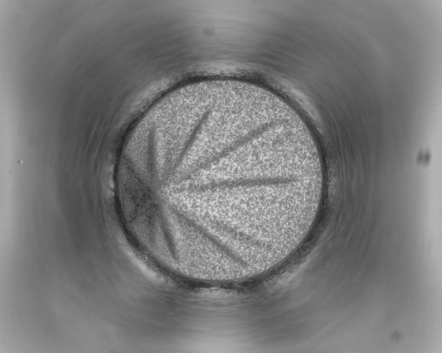 X0000093130633200710241323