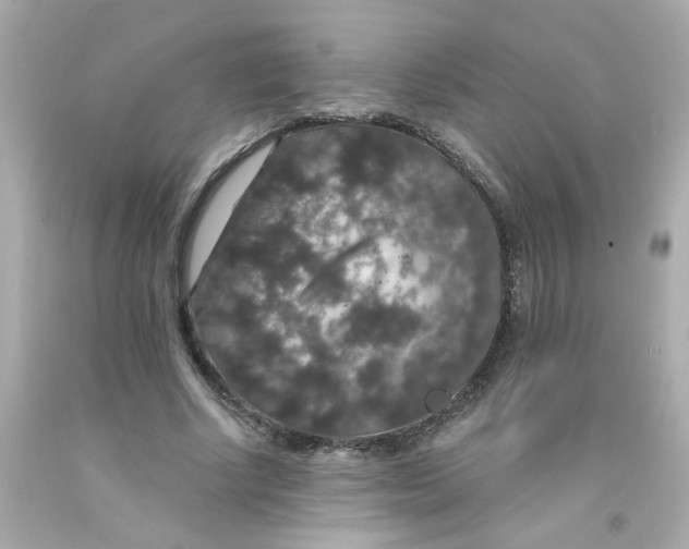 X0000093130634200710241323