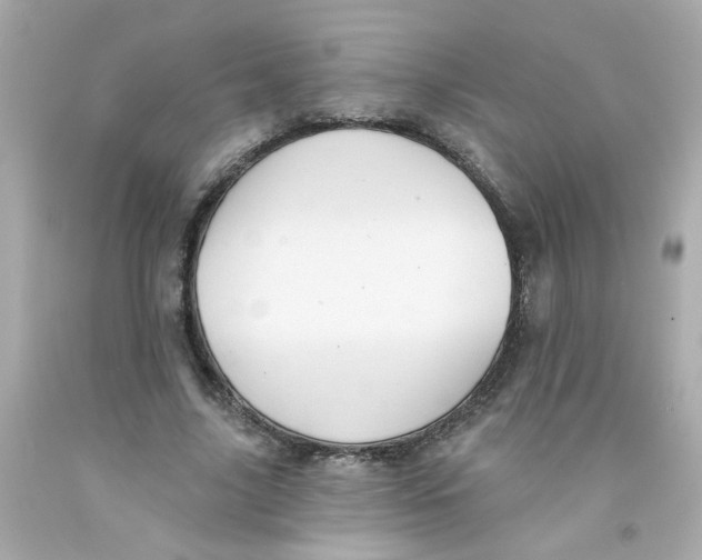 X0000093130635200710241323