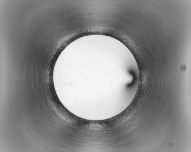 X0000093130636200710241323