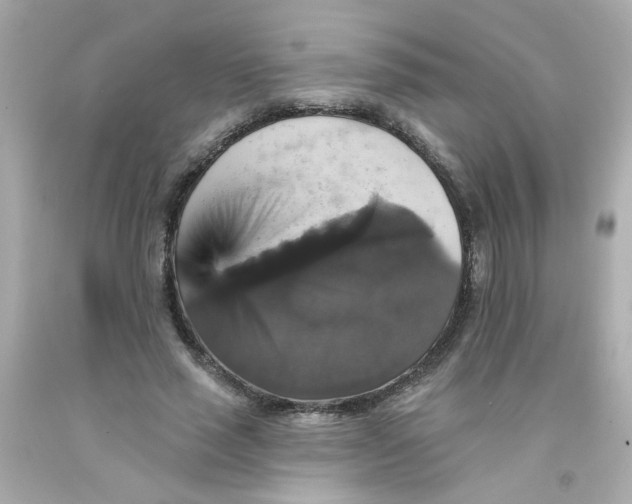 X0000093130637200710241323