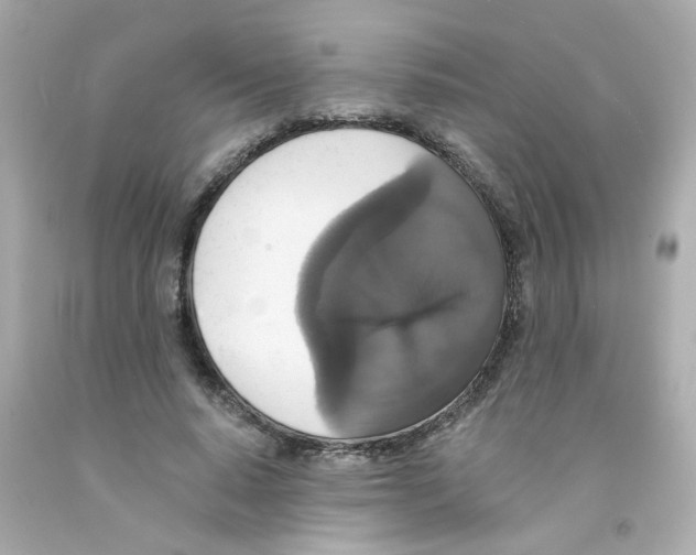 X0000093130640200710241323