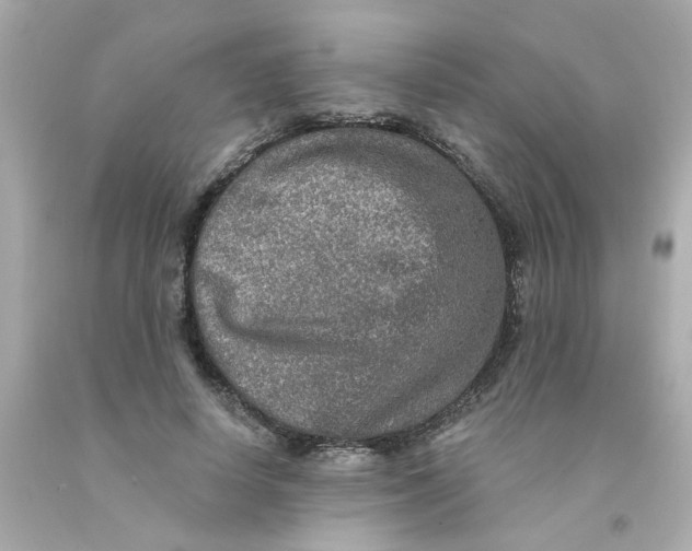 X0000093130642200710241323