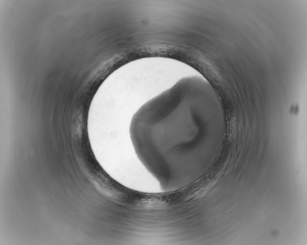 X0000093130644200710241323