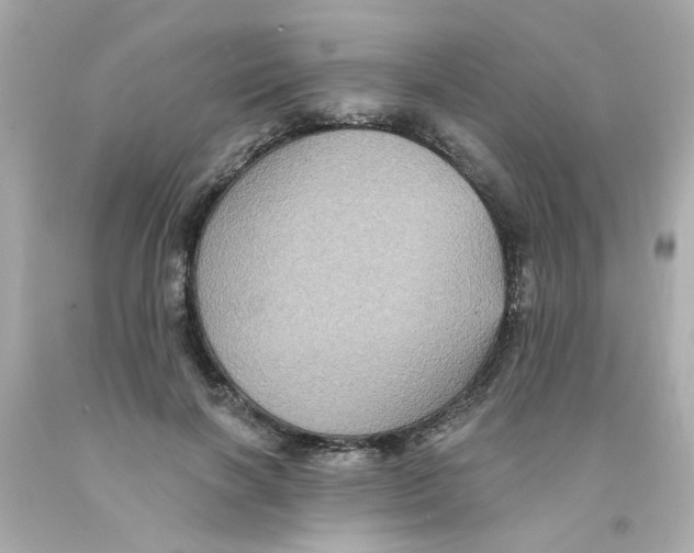 X0000093130646200710241323