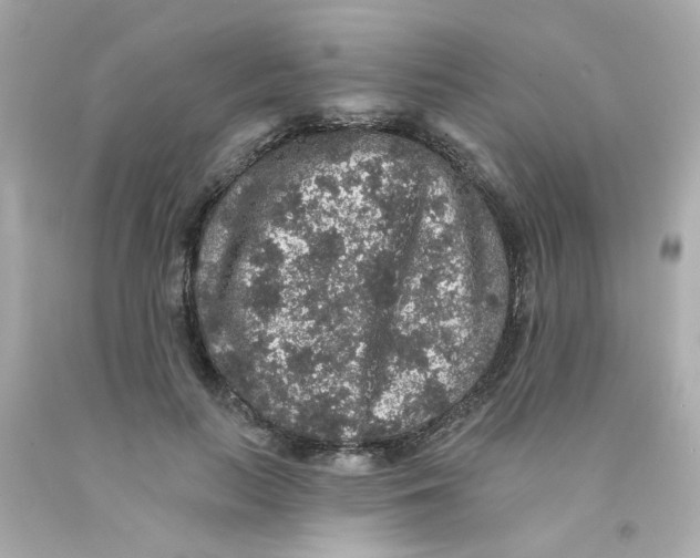 X0000093130647200710241323