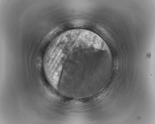 X0000093130648200710241323