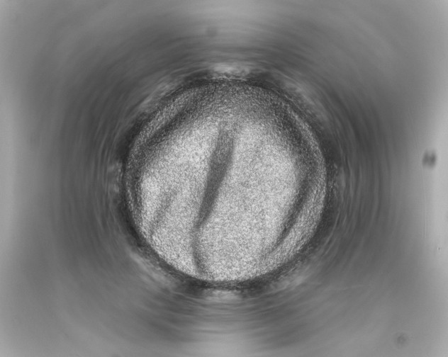 X0000093130649200710241323