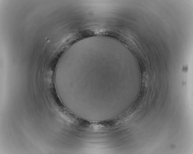 X0000093130650200710241323