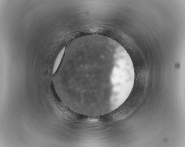 X0000093130651200710241323