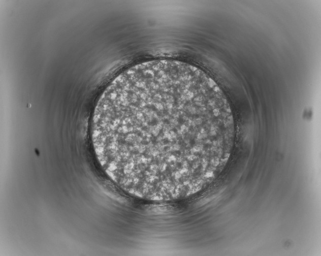 X0000093130652200710241323