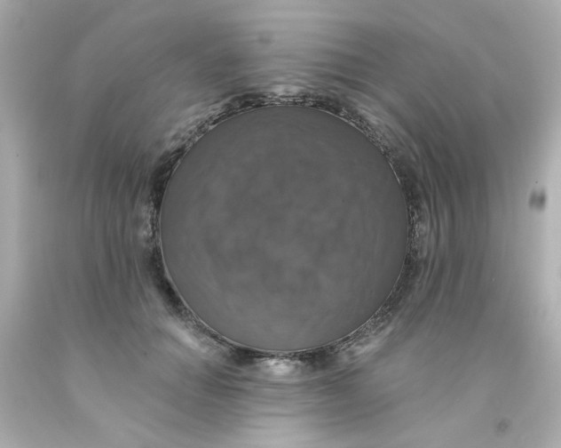 X0000093130654200710241323
