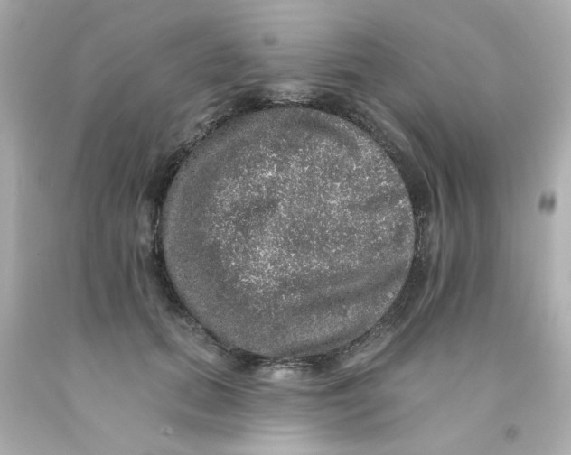X0000093130655200710241323