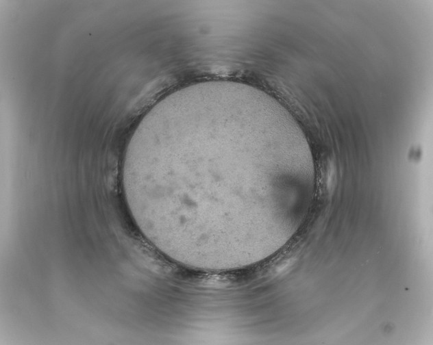 X0000093130656200710241323