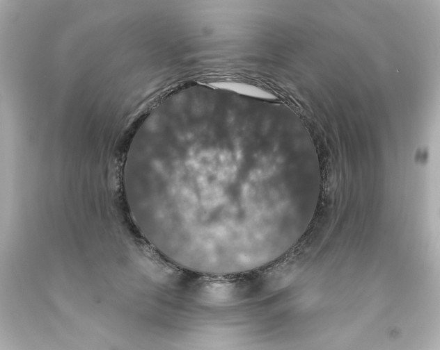 X0000093130658200710241323
