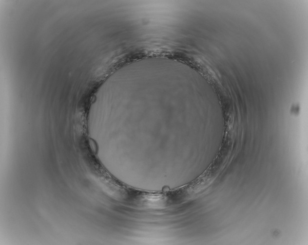 X0000093130659200710241323