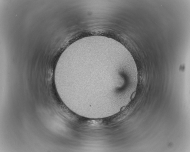 X0000093130660200710241323